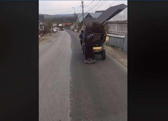 Imagini SCANDALOASE filmate într-un sat din Suceava: O femeie folosită pe post de frână la căruță | VIDEO