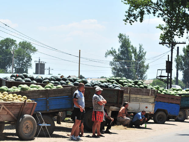 Ministerul Agriculturii: Pepenii românești găsiți la tarabele din piețele agroalimentare vor fi etichetați corespunzător începând din această săptămână. Cum vor arăta etichetele