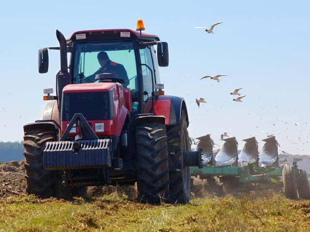 Un sfert dintre angajații din România activează în agricultură, deși ponderea acestui sector în PIB este de doar 4,3%