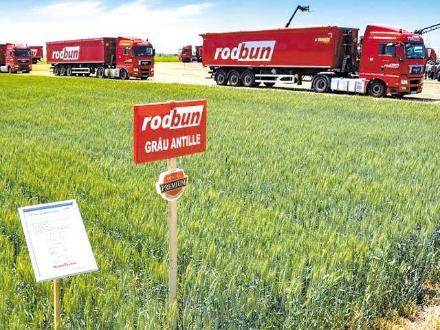 Grupul Rodbun așteaptă afaceri de 600 mil. lei în 2019 după o creștere de minimum 30% față de anul anterior