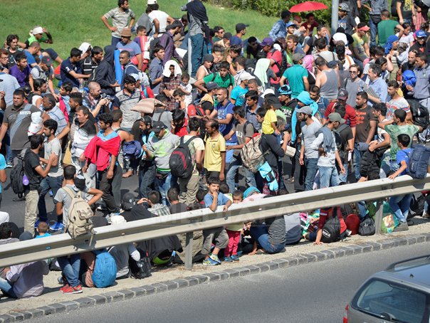 Trump spune că va întârzia timp de două săptămâni deportarea imigranților ilegali