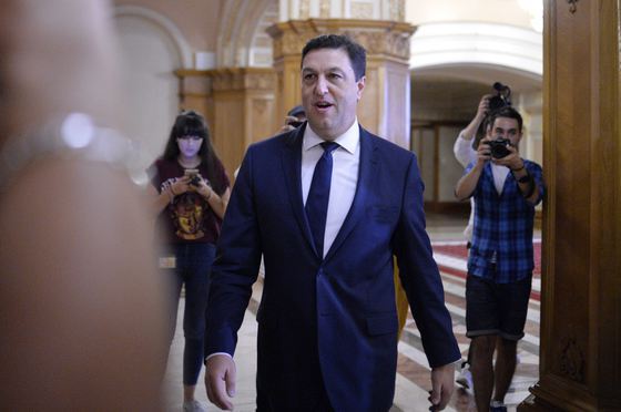 Șerban Nicolae și-a anunțat, în CEx, candidatura la Președinția României