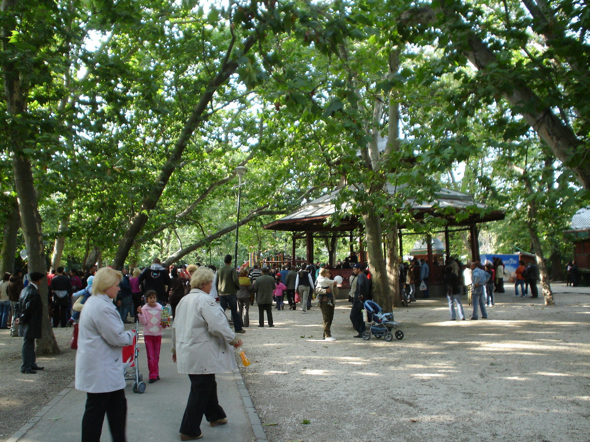 Primăria Capitalei vrea să refacă Parcul Cișmigiu cu 10 milioane de euro. Cât timp ar putea dura lucrările
