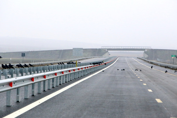 Proiectele autostrăzilor românești vor avea un nou șef. Cine este acesta