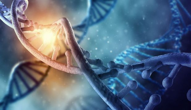 Ce este biohackingul și de ce susțin adepții că prima persoană care va trăi 1.000 de ani s-a născut deja