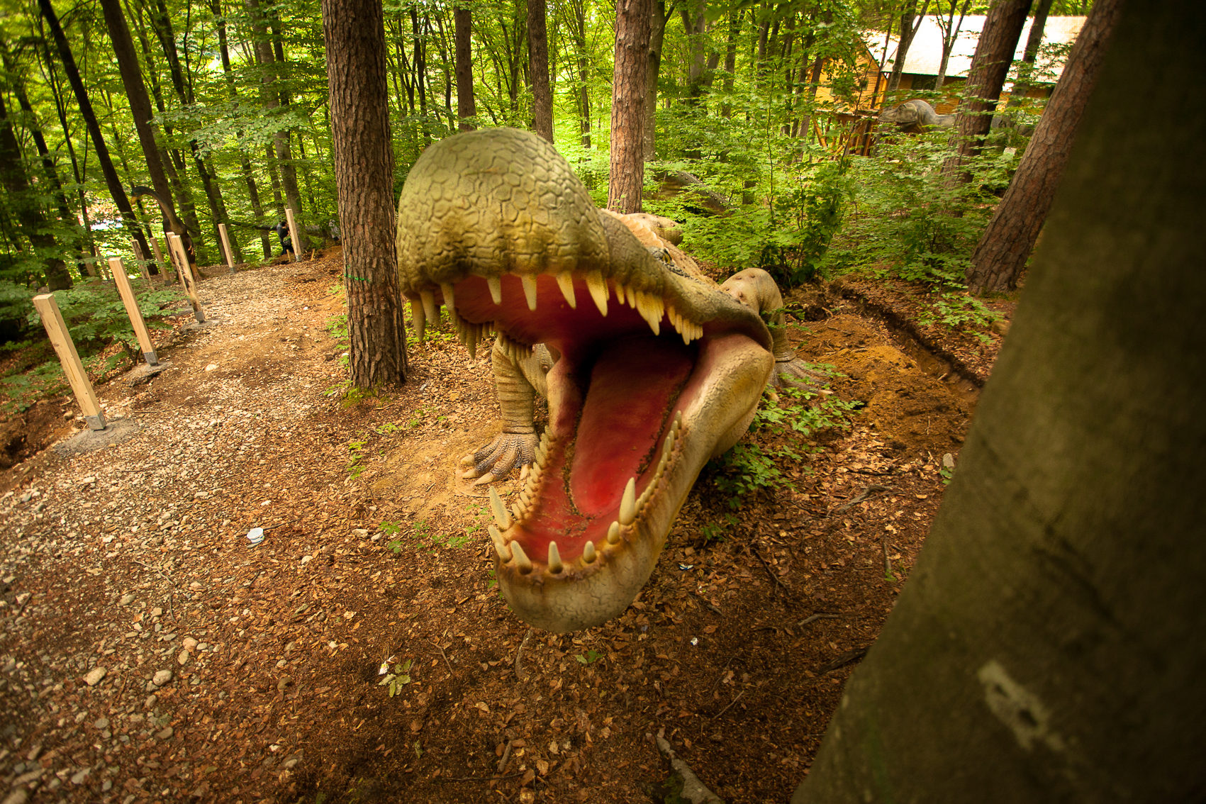 Dinozaurii din Râșnov, vizitați de peste 1 milion de turiști