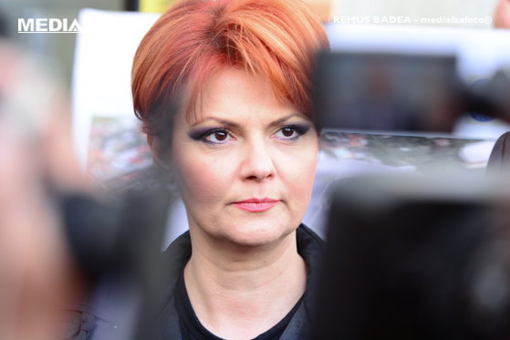 Lia Olguța Vasilescu, către liberalul care a propus decontarea ratelor la locuințe ale magistraților: Câte dosare ai?