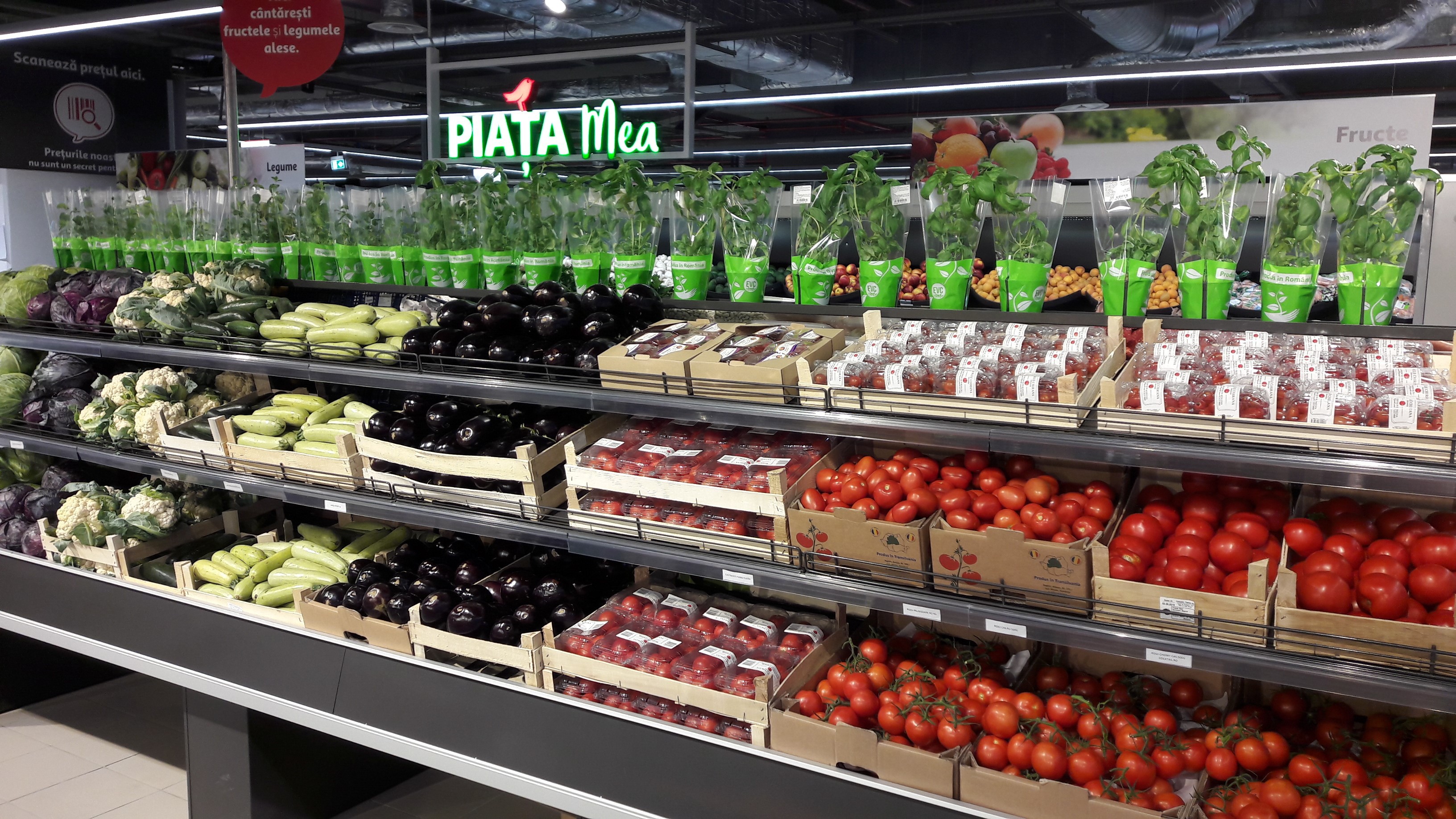 Auchan Retail România a deschis al doilea supermarket local