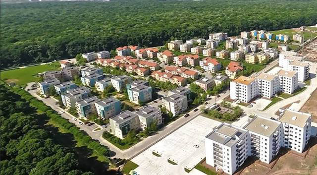 Primăria Capitalei vrea să ceară Guvernului o parte din Pădurea Băneasă, pentru a o amenaja în parc