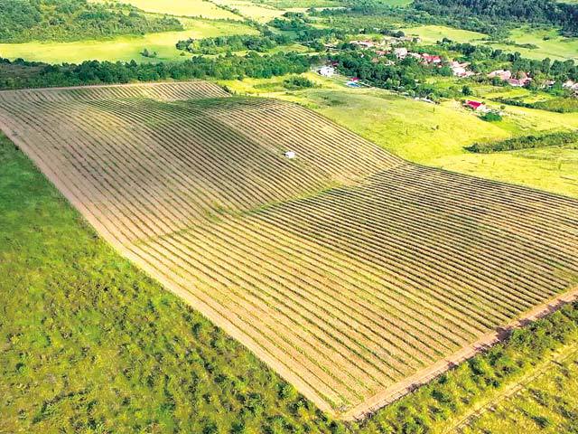 Prima companie din agricultură de la bursa românească: Holde Agri Invest, simbol bursier HAI, atrage 10 mil. lei de la investitori. Urmează listarea în 2020