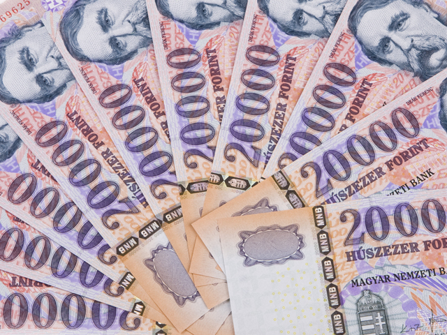 Companiile din Ungaria continuă să majoreze salariile în pofida așteptărilor de încetinire a economiei