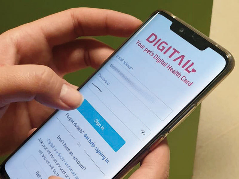 Start-up-ul care digitalizează viața animalelor