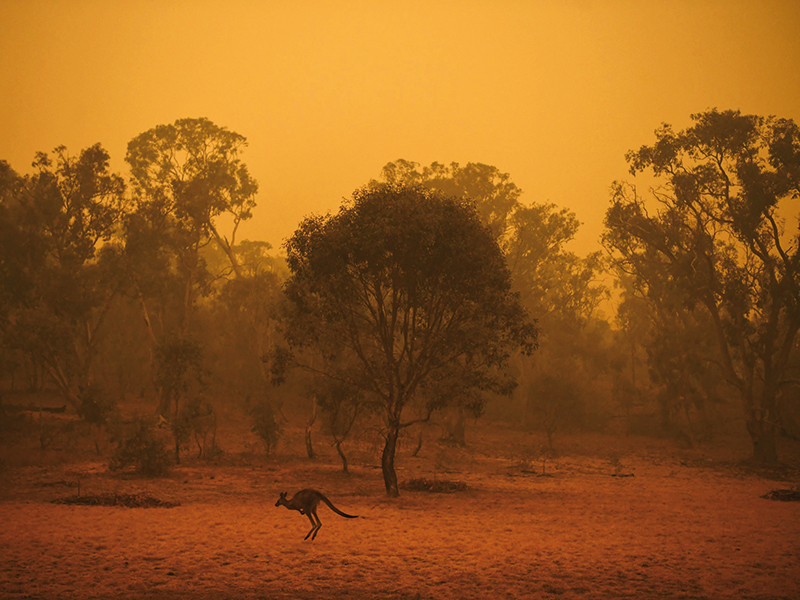 Efectele încălzirii globale. Continentul care poate rămâne fără iarnă și se încălzește mai mult decât restul lumii