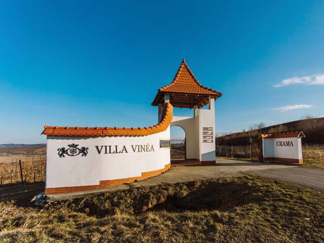 Venituri de peste 3 milioane de lei în 2019 pentru producătorul de vinuri Villa Vinèa