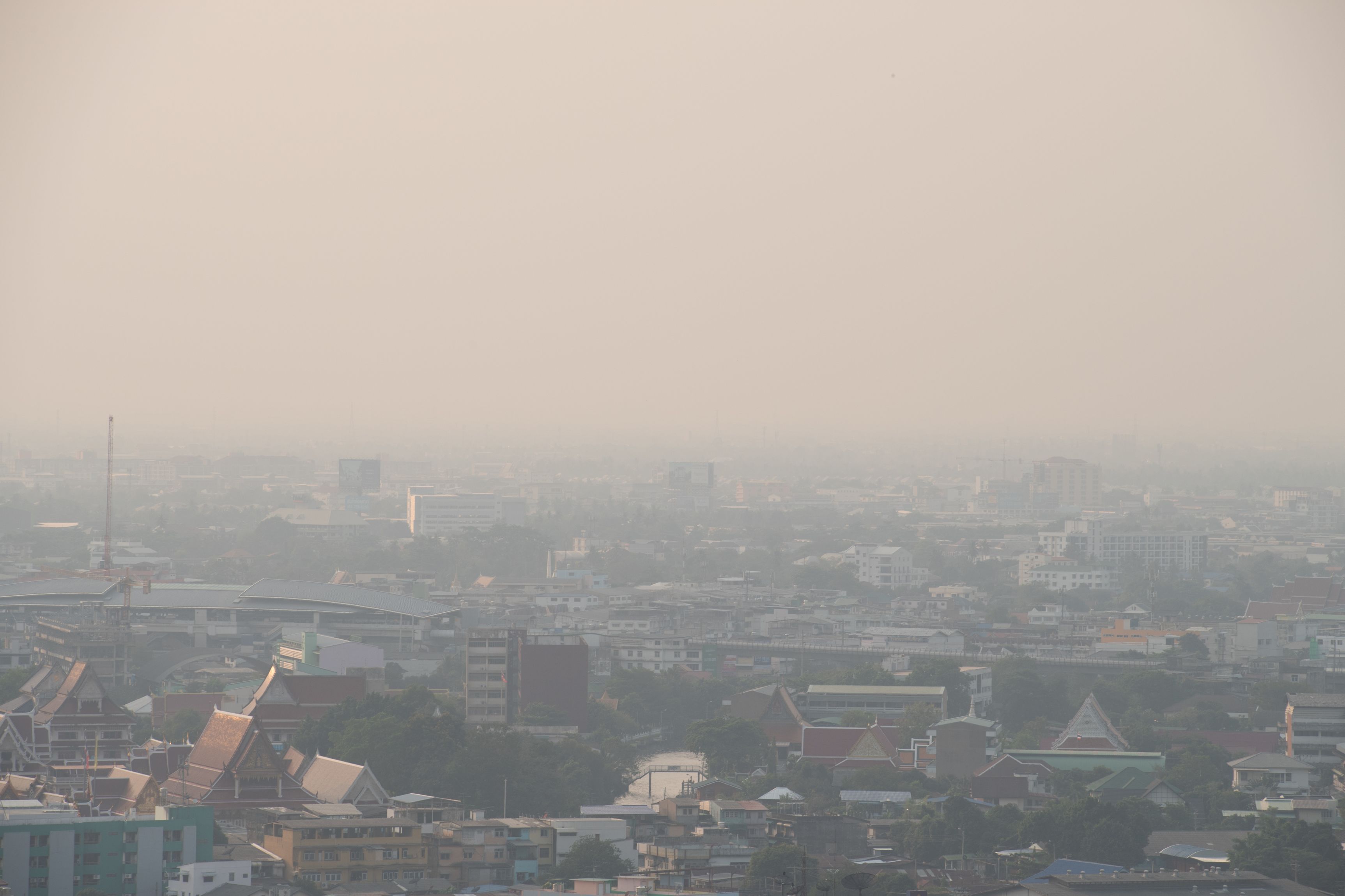 Efectele carantinei asupra mediului: Nivelul zilnic al emisiilor de dioxid de carbon a scăzut cu 60% în UE