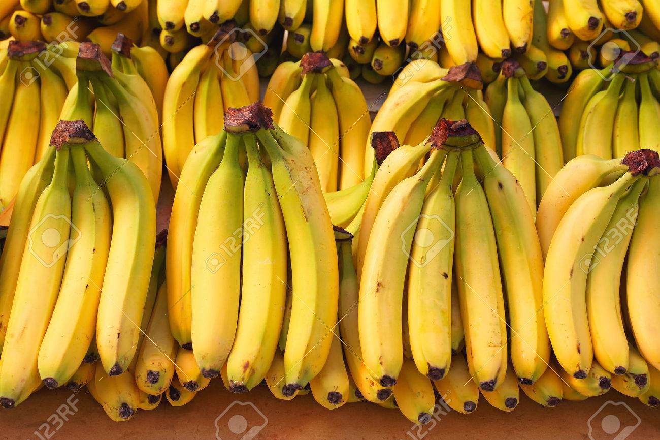 Industria bananelor este răvășită de boală