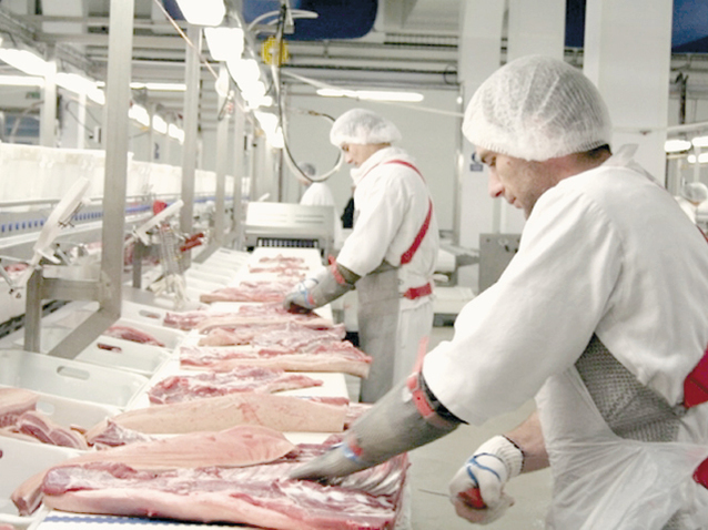 Smithfield, cel mai mare producător de carne de porc din România, are circa 100 de angajați confirmați pozitiv cu noul coronavirus și a suspendat activitatea din abatorul Freidorf din Timișoara