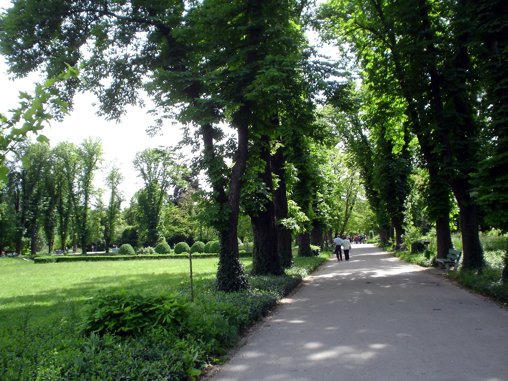 Primăria Oradea are în plan o investiție de 20 mil. euro pentru amenajarea unei grădini botanice de peste 7 hectare