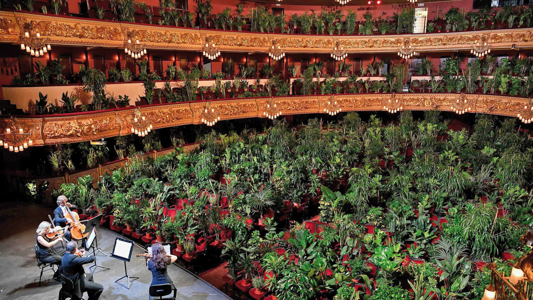 Audiență verde. Spectatorii de la opera din Barcelona, înlocuiți de ghivece cu flori