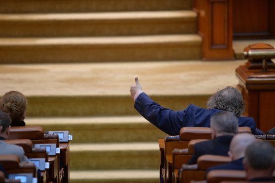 PSD pune presiune pe Guvern să dubleze alocațiile copiilor. Sumele vehiculate sunt „mărunțis”