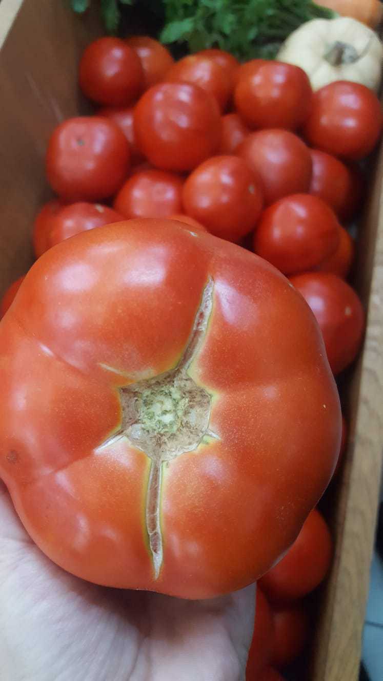 Studiu: Vânzările micilor producători locali, în creștere: ponderea românilor din orașe care au cumpărat alimente de la producători locali aproape s-a dublat în pandemie