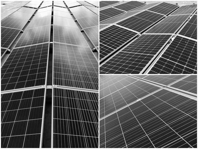 Un număr de 58 de companii din România printre care Dedeman, TeraPlast și Don Pedro au pariat pe energia solară