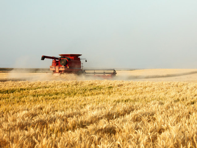 Cele mai mari 10 cooperative din România au avut afaceri cumulate de 855 mil. lei în 2019. „Asocierea ajută la creșterea sectorului agricol și aduce doar beneficii“