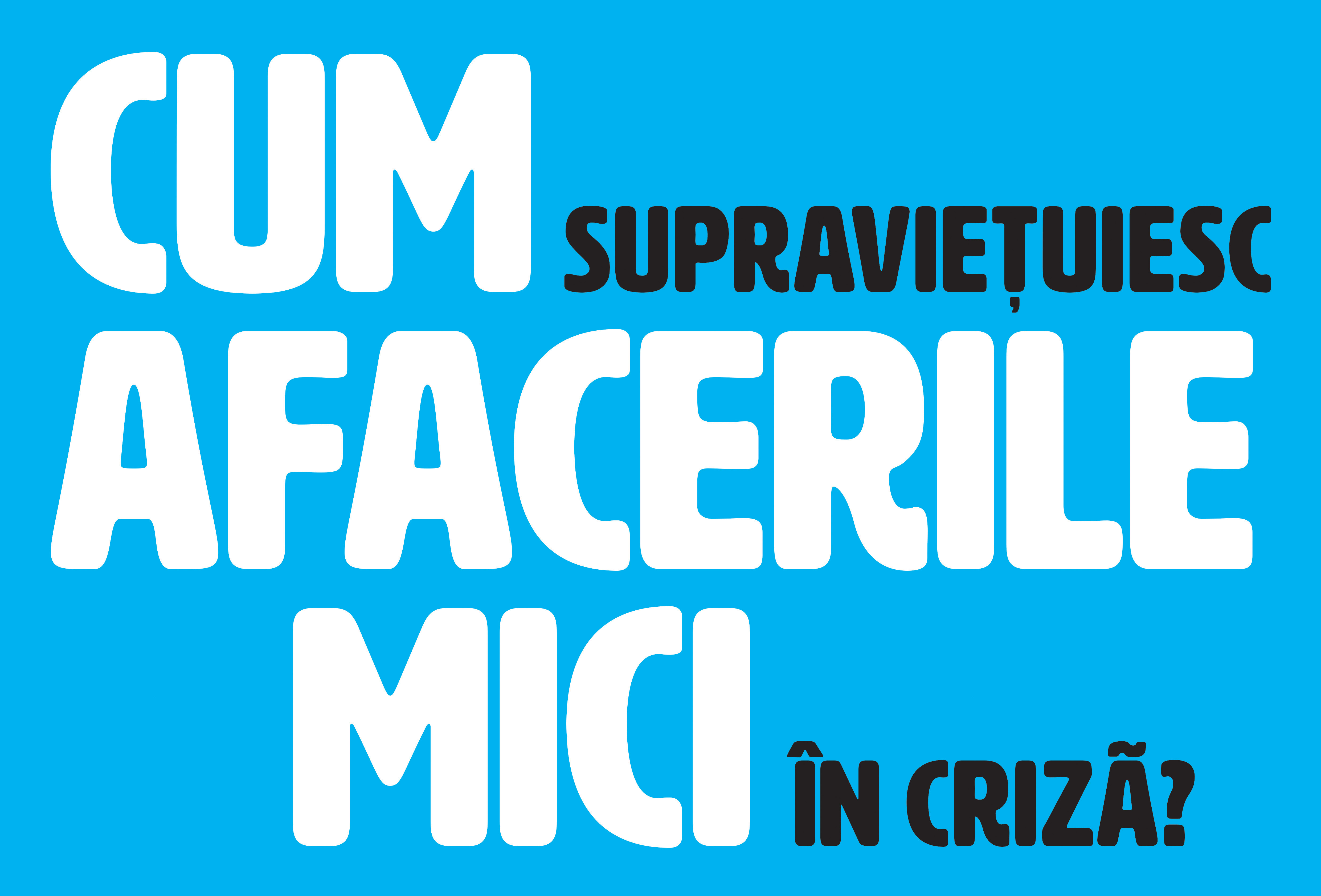 Cum supravietuiesc afacerile mici în criză?