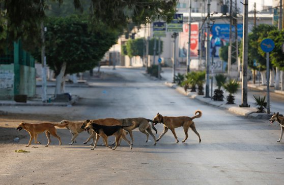 Revin restricțiile: Israel anunță blocarea parțială a țării, în urma creșterii numărului de cazuri de coronavirus