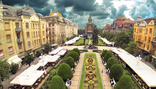 Timișoara, primul oraș din România unde trecătorii vor citi poezii așteptând la semafor