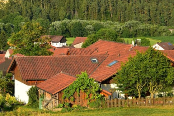 Moștenire de 7,5 milioane de dolari, lăsată de o vecină. Vestea a venit ca un șoc pentru autorități