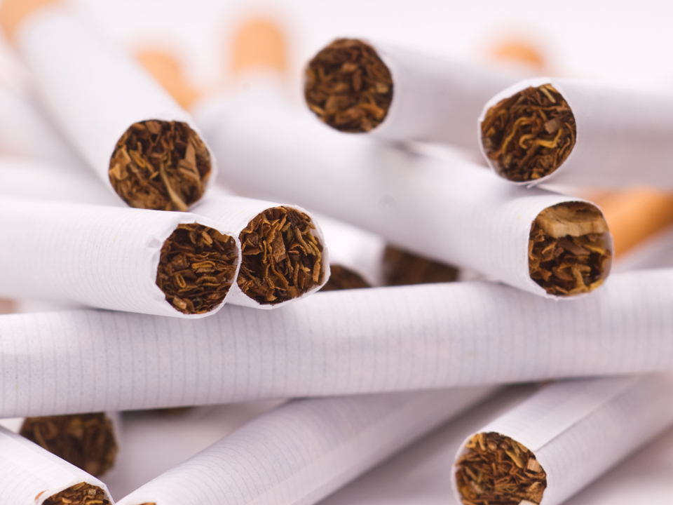 Vaccinul anti-Covid al British American Tobacco din frunze de tutun poate fi testat pe oameni