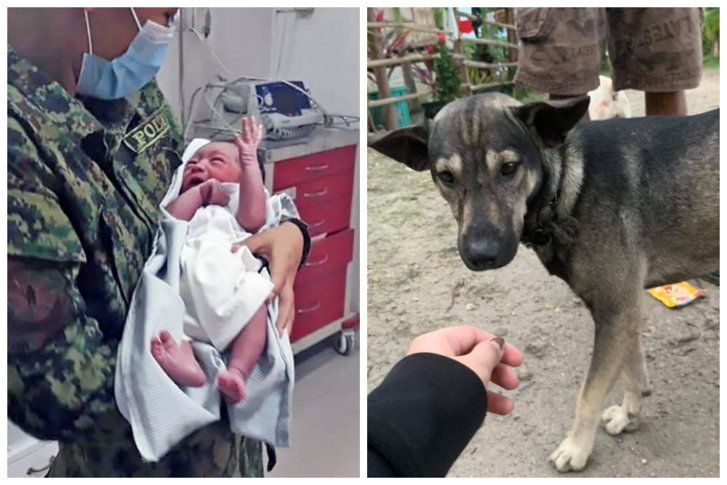 Bebeluș abandonat într-un depozit de deșeuri, salvat de un câine