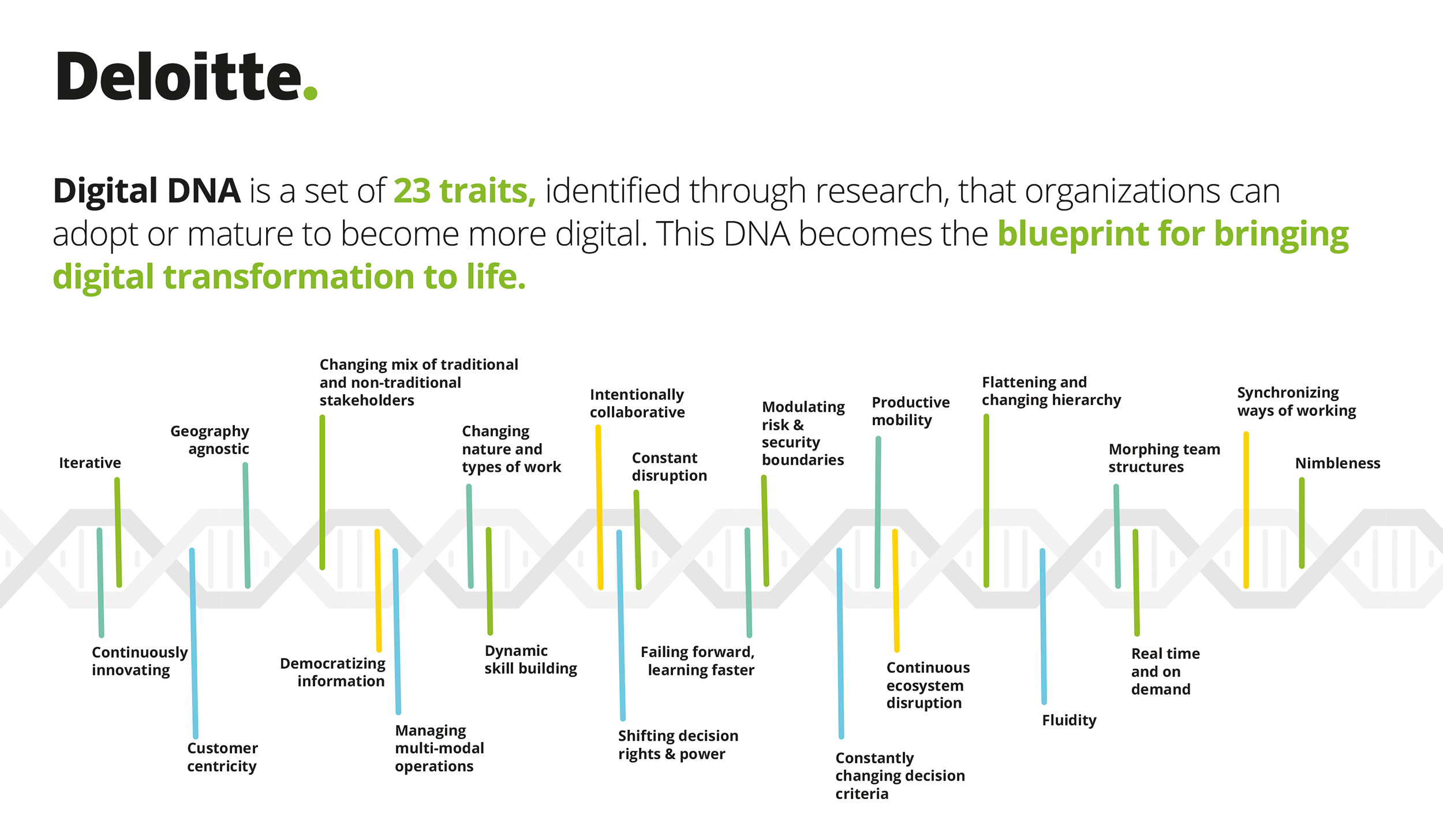 Deloitte România: Digital DNA