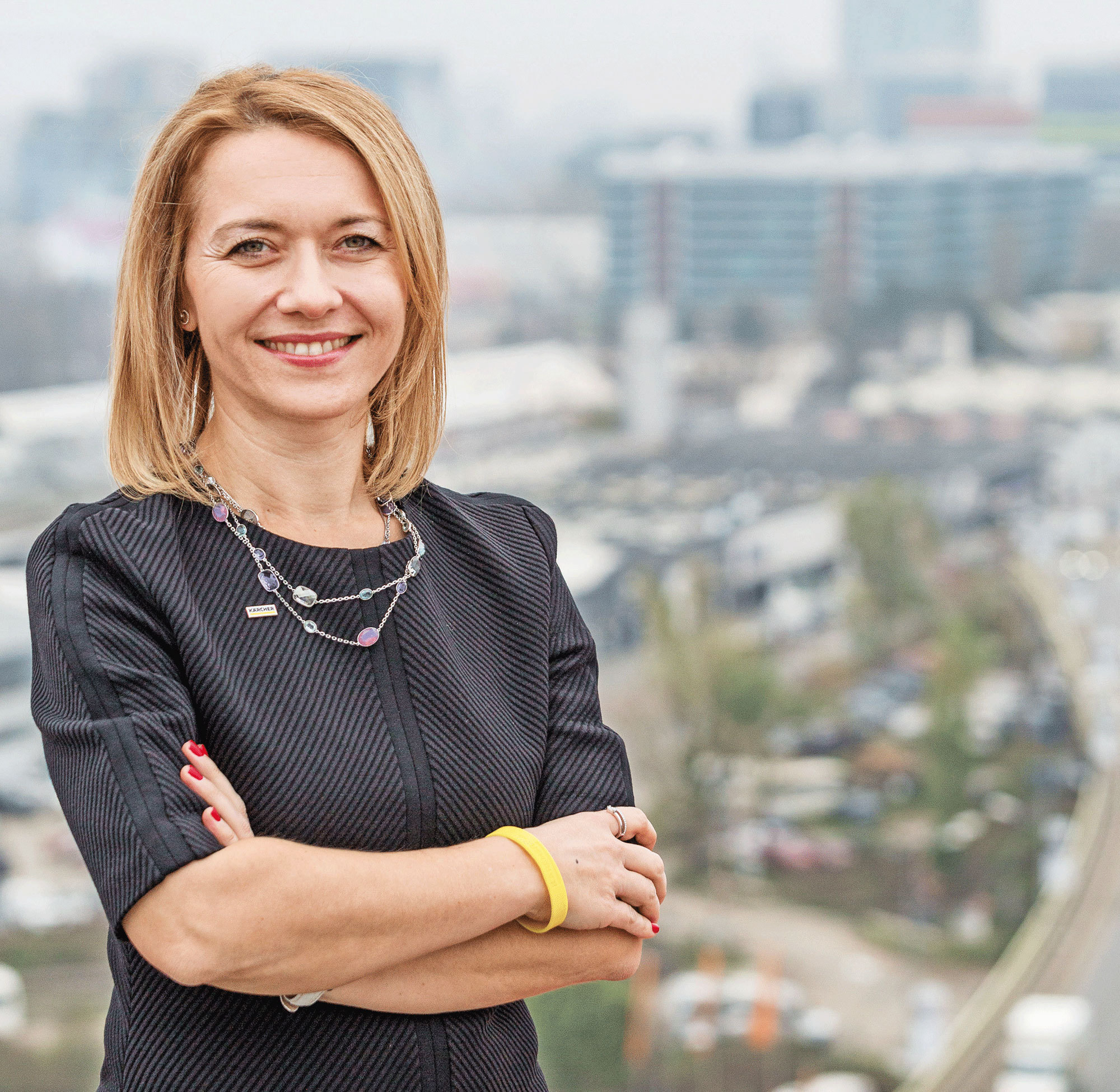 La conducerea germanilor care fac curățenie în România
