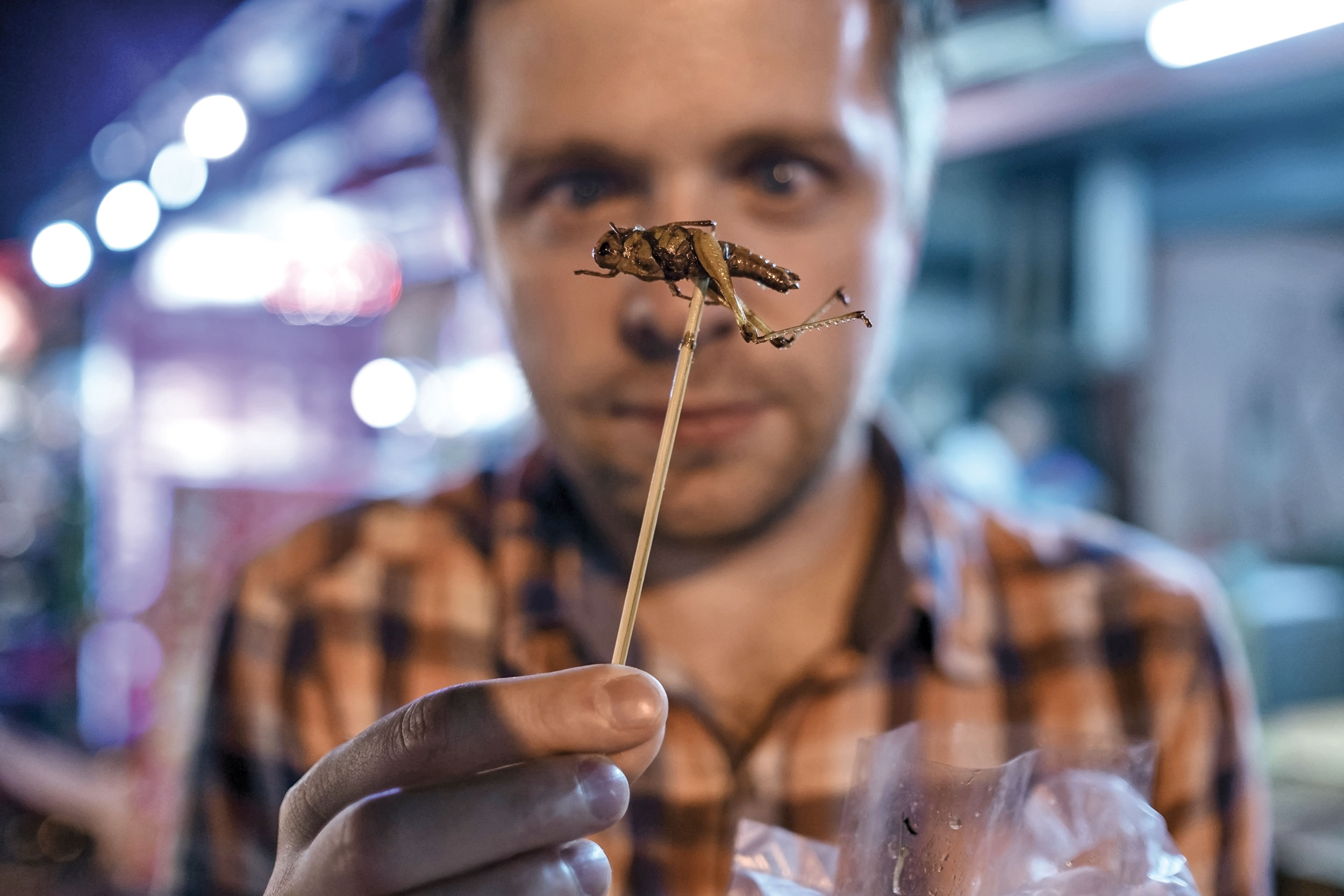 Insectele, tot mai aproape de farfurii. Vor putea românii să înlocuiască sarmalele și alte mâncăruri tradiționale cu astfel de alimente?