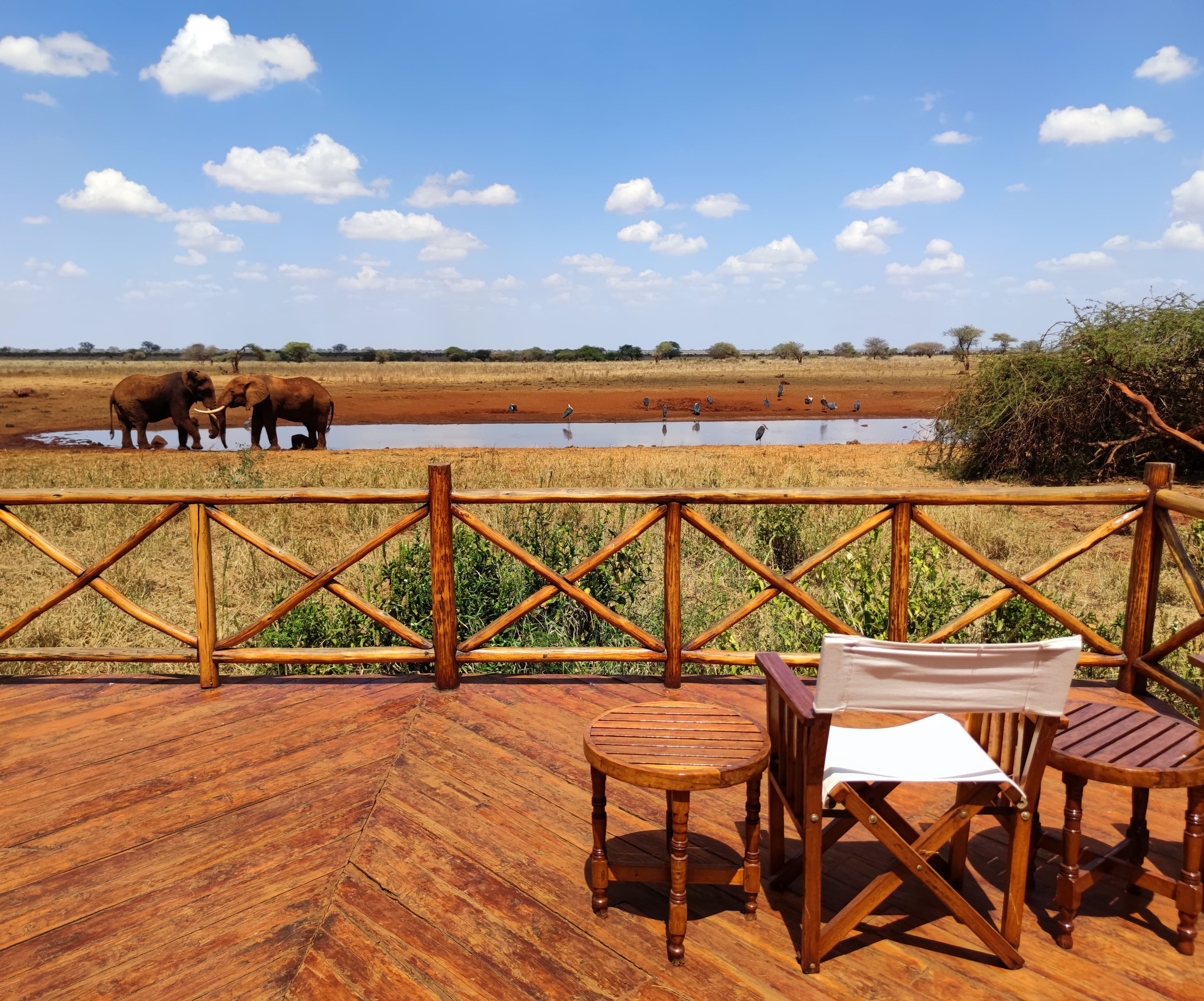 Cât te costă să îți bei cafeaua lângă zebre și elefanți în Kenya, țara exotică aflată în afara listei galbene