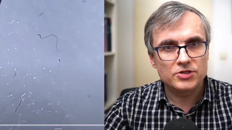 „Paraziti in mastile de protectie”. Conspiratia demontata de fizicianul Cristian Presura