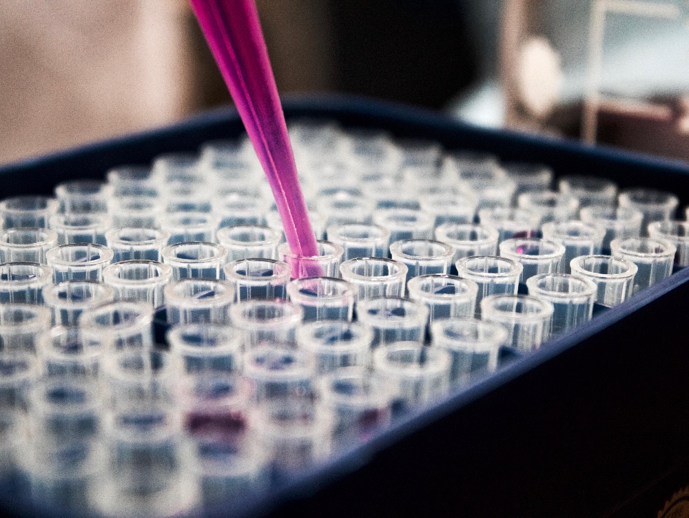 Cum a fost descoperită celula care ar putea deveni tratament universal împotriva cancerului.