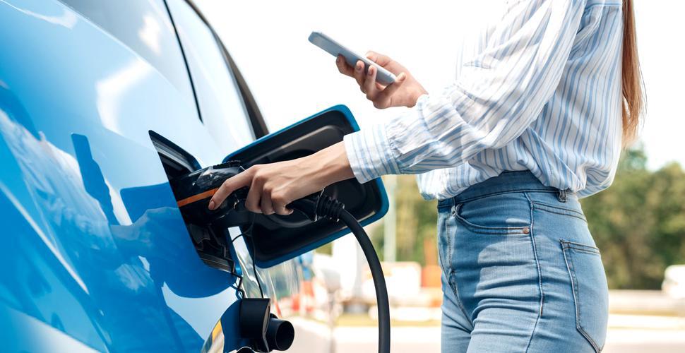 Specia care ar putea dispărea din cauza nevoii uriașe de litiu pentru baterii de mașini electrice