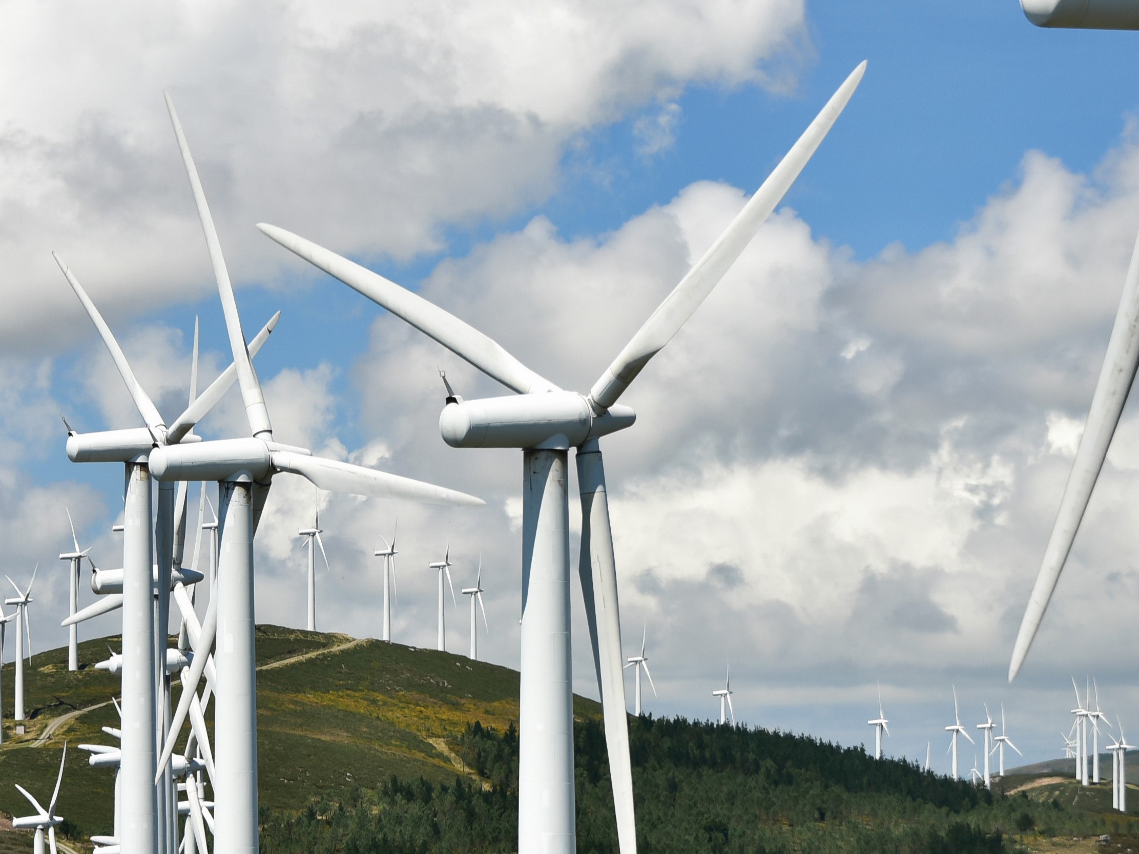 Ianuarie 2021, cea mai verde lună a energiei: Eolienele au depășit în premieră cărbunii