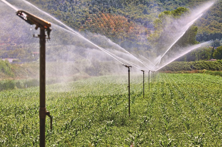 Care sunt principalele investiții necesare în sectorul agricol: reabilitarea infrastructurii de irigații, resuscitarea sectorului de creștere a porcilor și calificarea forței de muncă