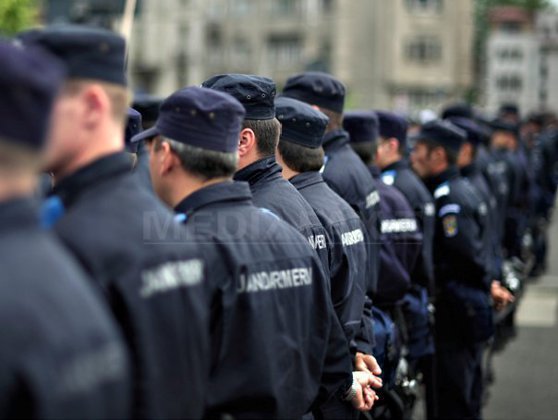 Proiect: Jandarmii vor opri în trafic și vor controla mașinile care transportă lemne