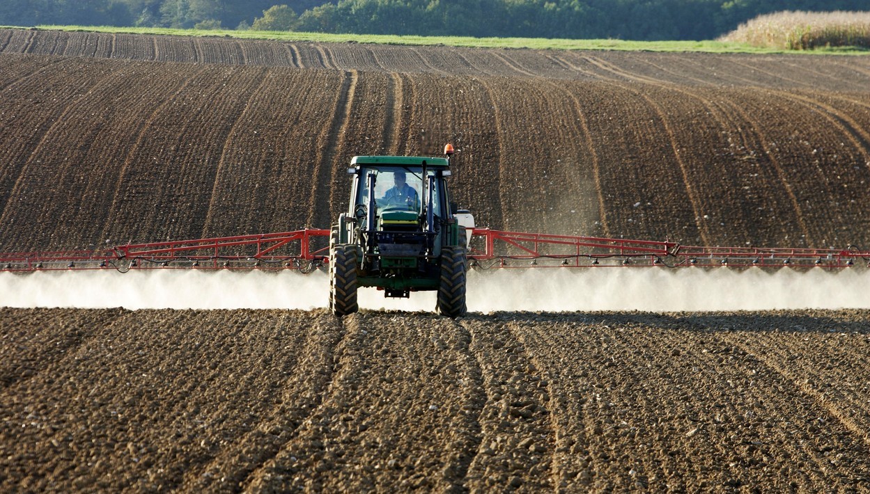 ONU: Prețurile produselor alimentare cresc în cel mai rapid ritm din ultimul deceniu. Experții avertizează că nivelul ridicat al cererii și mersul încet al producției ar putea alimenta creșterea inflației
