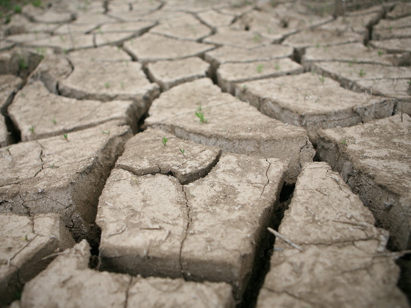 ONU: Anul pandemiei a fost marcat de creșterea nivelului de foamete în lume