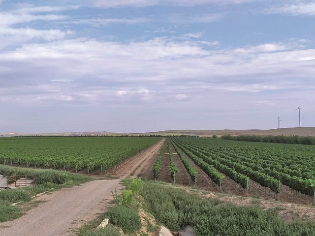 Primii 20 de proprietari de terenuri dețin în total 250.000 de hectare, adică 2,5% din suprafața arabilă a României