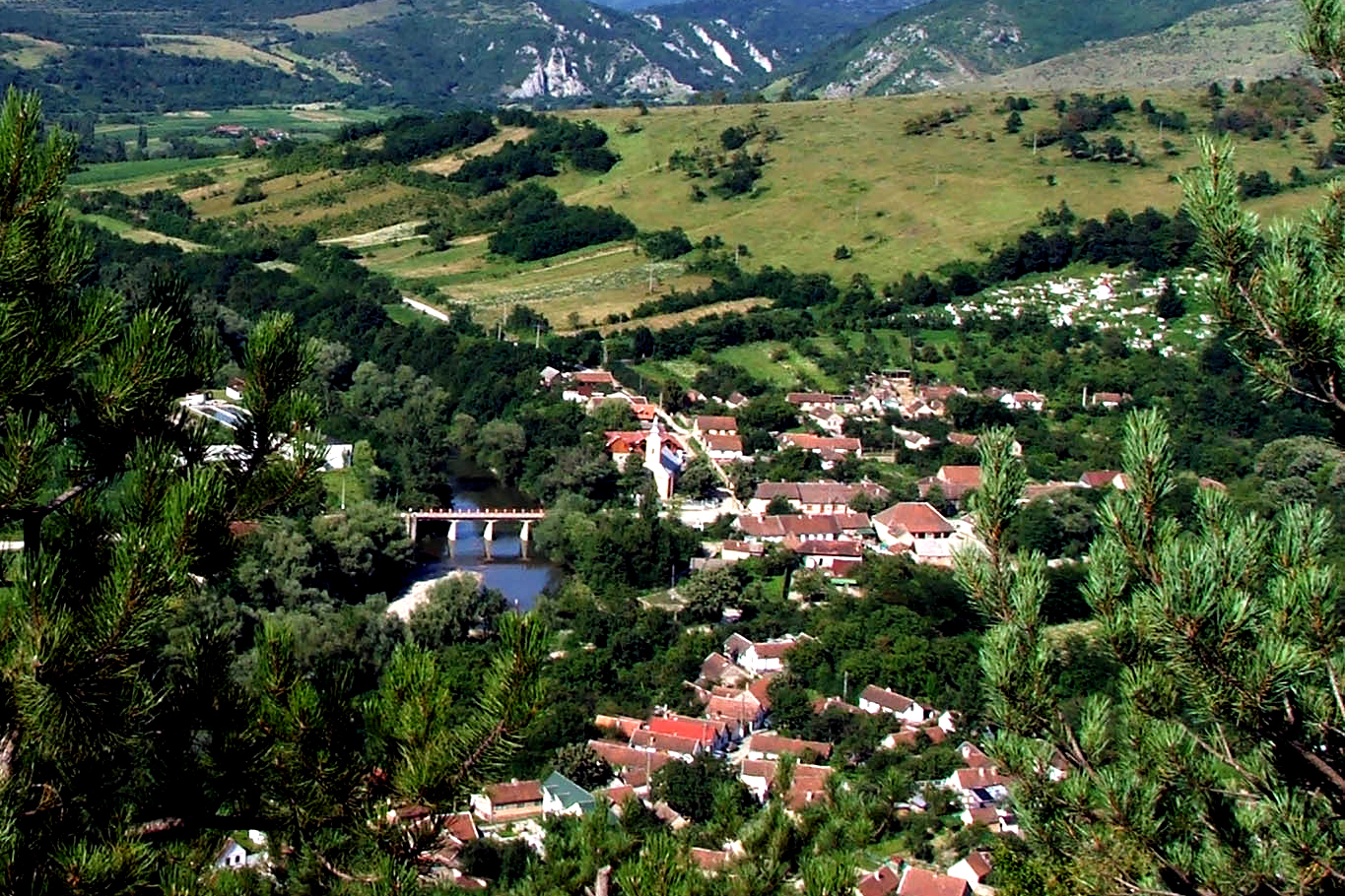 Românii pleacă în marș de la oraș la țară: în 2020 s-a dublat fluxul pozitiv către mediul rural din mediul urban, până la 40.000 de persoane. Statistica vine să confirme ceea ce deja în piața imobiliară și în discuțiile personale era evident