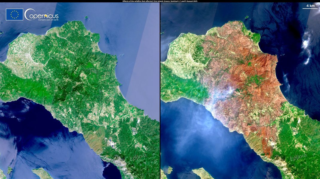 Insula Evia „se îndreaptă rapid spre deșertificare”. Imaginea care arată proporția dezastrului din Grecia