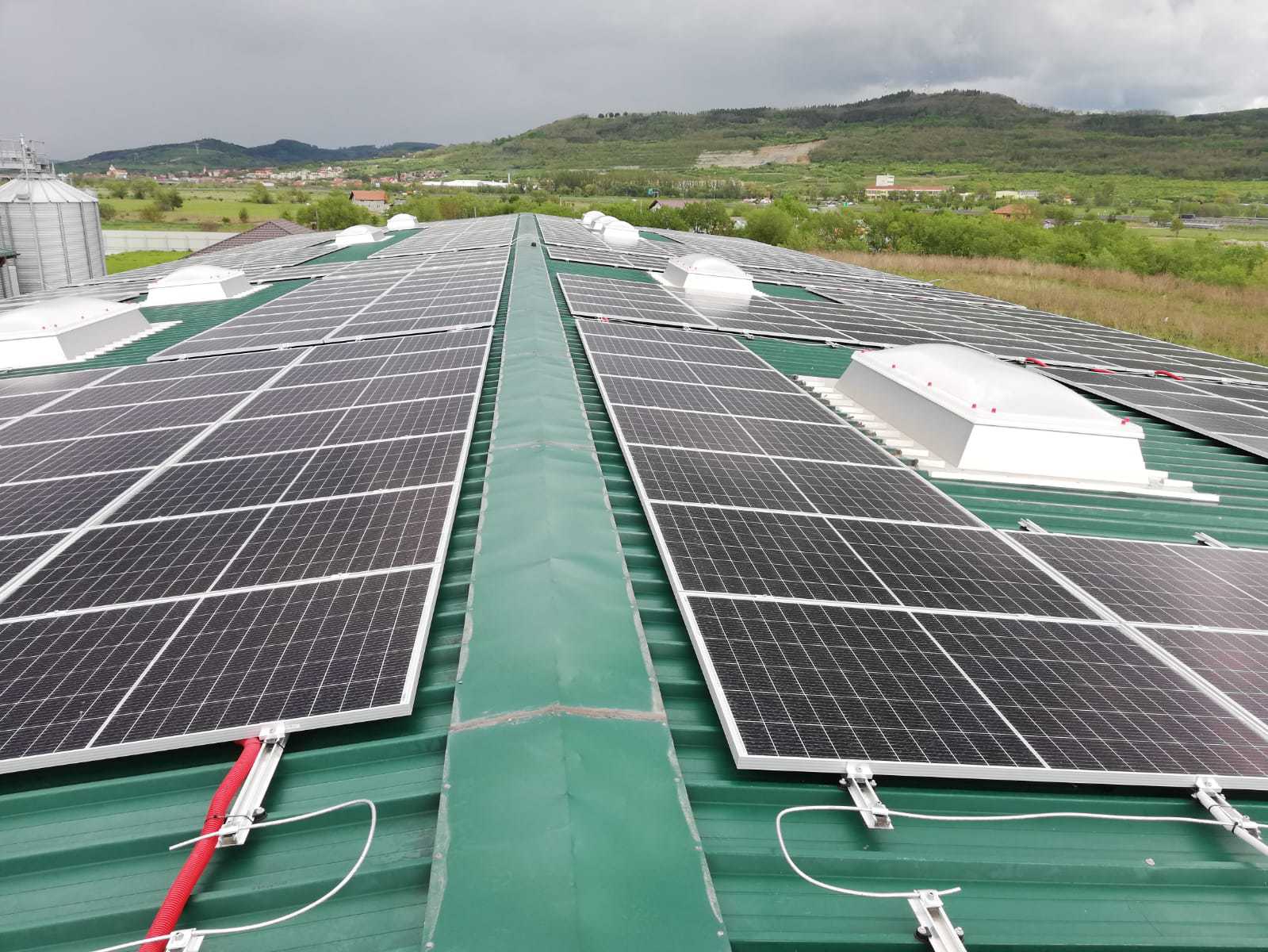 Distribuitorul de muștar și sosuri Sitemani din Brașov a devenit producător de energie verde cu un proiect de 155.000 de euro implementat de E.ON Energie România