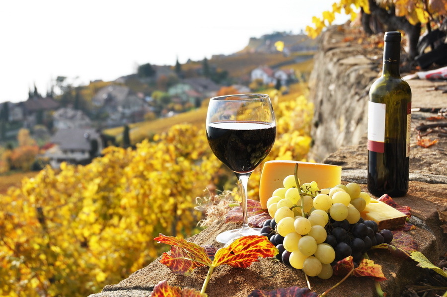 Franța se confruntă cu scăderea producției de vin din cauza vremii